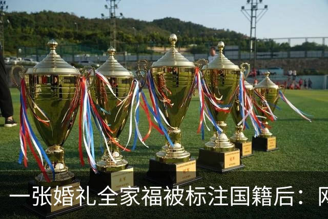 一张婚礼全家福被标注国籍后：网友连夜算账，把林依轮送上了热搜