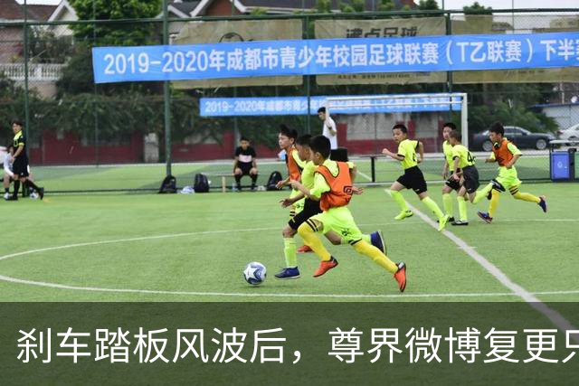 刹车踏板风波后，尊界微博复更只发了组图