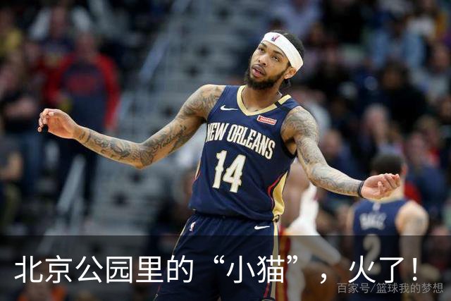 北京公园里的“小猫”，火了！