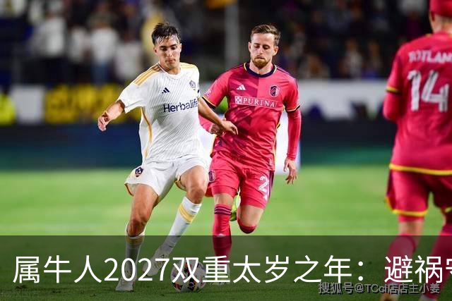 属牛人2027双重太岁之年：避祸守福，实用完整指南