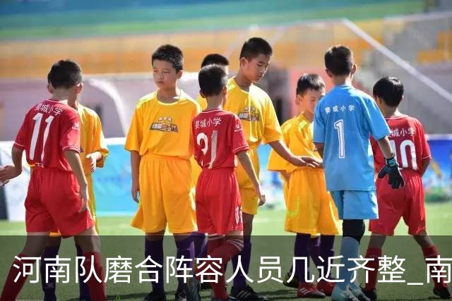 河南队磨合阵容人员几近齐整 南基一剑指中超前六