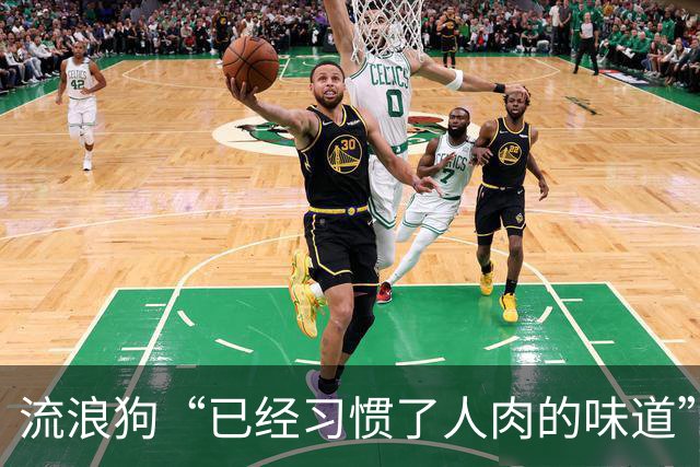 流浪狗“已经习惯了人肉的味道”