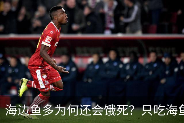 海边鱼多为何还会饿死？只吃海鱼一周就出问题