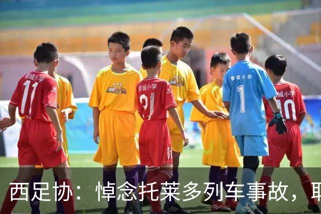 西足协：悼念托莱多列车事故，取消今天室内足球主帅续约仪式